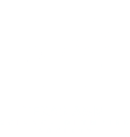 TSOS Logo